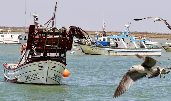 La Junta rechaza el acuerdo alcanzado en Bruselas para la pesca de arrastre del Mediterráneo