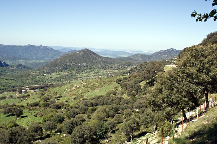El 112 atiende 680 rescates y búsquedas en zonas de montaña durante 2024