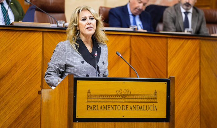 El Parlamento convalida el Decreto Ley para adelantar el pago de las ayudas por la DANA