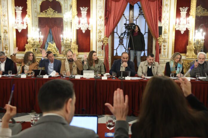 El apoyo a las localidades de menor población centra el último Pleno ordinario del año en la Diputación