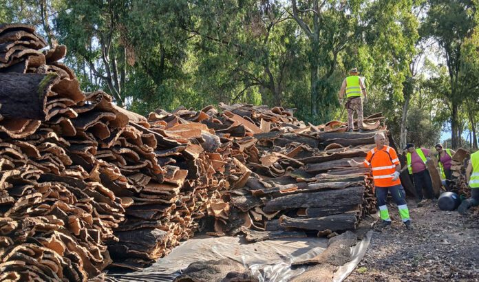 Licitado el Programa de Impulso a los Aprovechamientos de la Madera en Andalucía