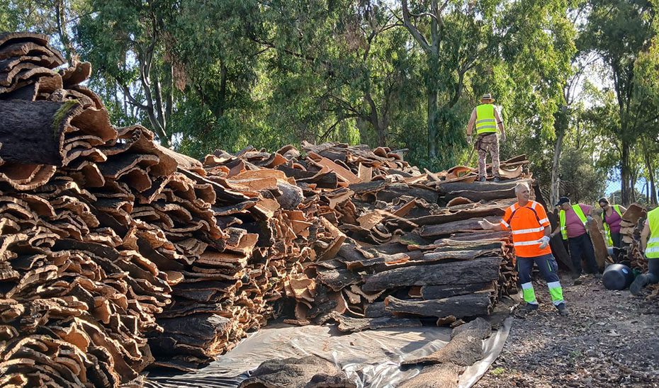 Licitado el Programa de Impulso a los Aprovechamientos de la Madera en Andalucía