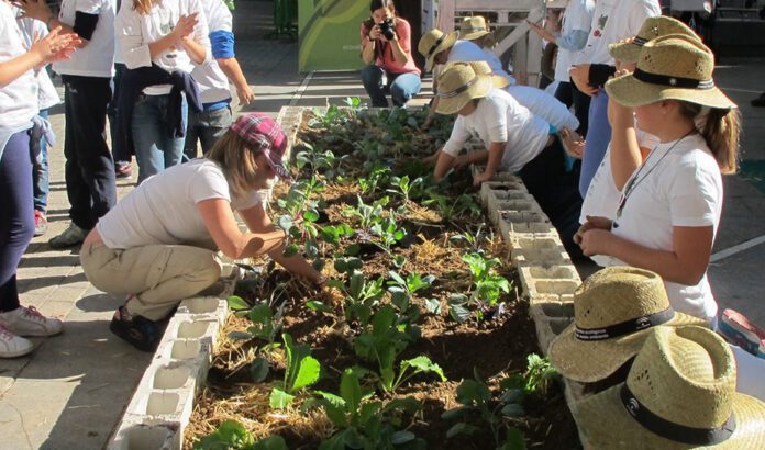 Más de 720.000 alumnos de 2.100 centros participarán en los huertos escolares del ‘Programa Aldea’