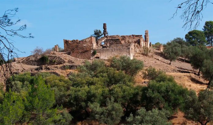 Una historia entre los Montes de Málaga y el vino