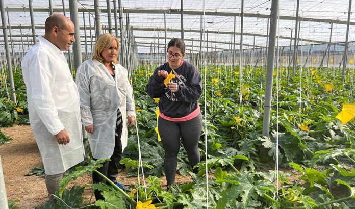 La Junta impulsa el relevo generacional en el campo andaluz con 130 millones para jóvenes agricultores