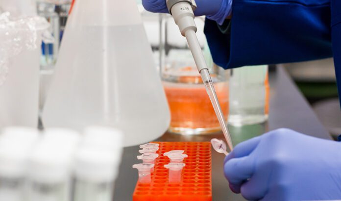 Salud financia tres proyectos de investigación en Leishmaniasis, Virus del Nilo y Esclerosis Múltiple