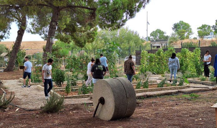 Más de 800 andaluces han participado en las jornadas ‘Tu huerto, tu salud, tu planeta’