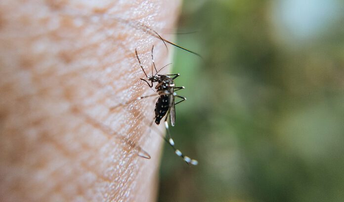 La Junta y la UCO crean un centro para investigar las zoonosis y otras enfermedades emergentes