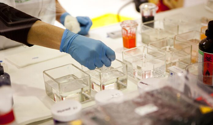 El programa Emergia capta y estabiliza para la ciencia andaluza a 42 investigadores de prestigio