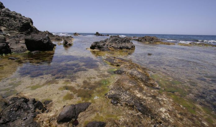 La Junta inicia la tramitación para declarar Zona Especial de Conservación la Isla de Alborán