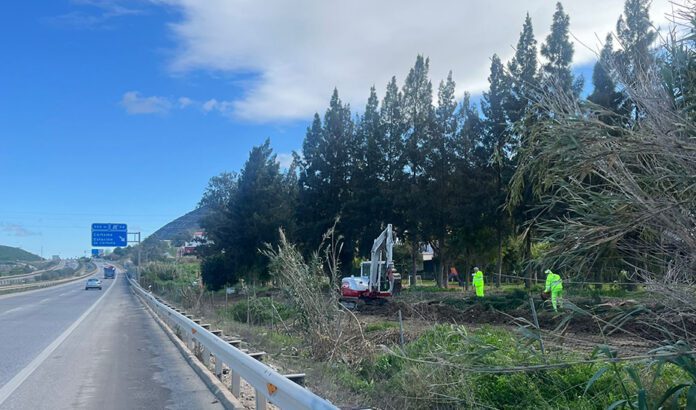 Una barrera vegetal reducirá el ruido de la autovía A-357 a su paso por Cártama