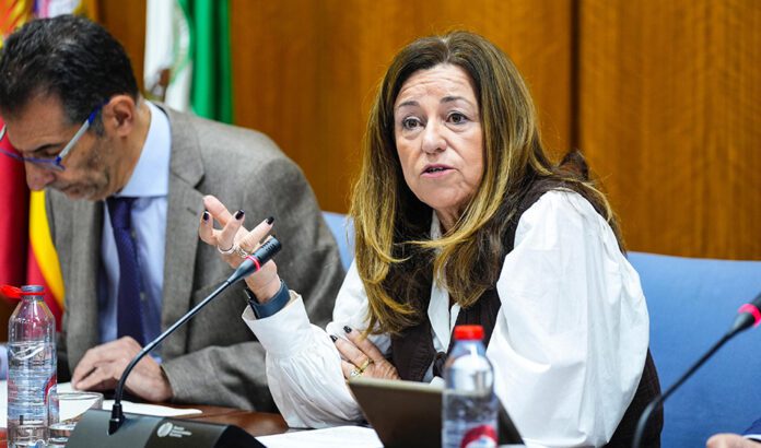 Los docentes andaluces tendrán la condición de autoridad pública y protección jurídica