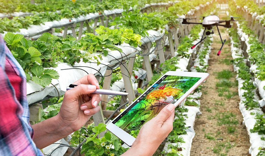 La Junta acredita a nueve clústeres de innovación como agentes del sistema andaluz del conocimiento