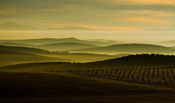 Convocada la XXIX edición de los Premios Andalucía de Medio Ambiente