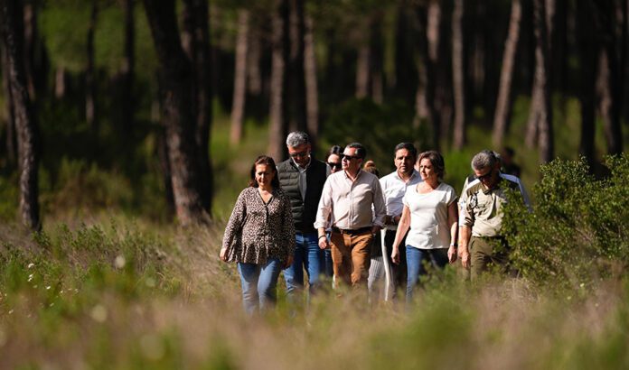 Las lluvias históricas en Doñana reactivan la marisma y anticipan una primavera favorable para la biodiversidad