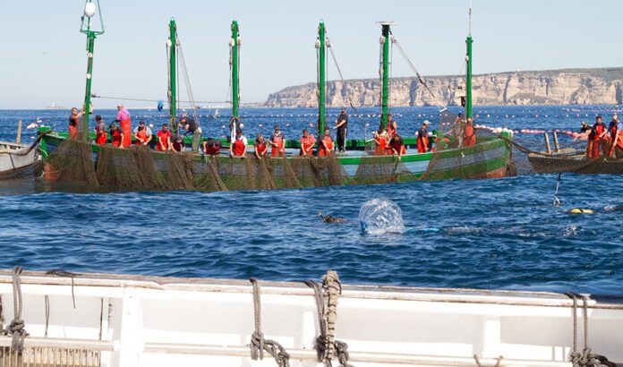 La Junta reclama al Gobierno una “solución urgente” a la huelga de inspectores de pesca