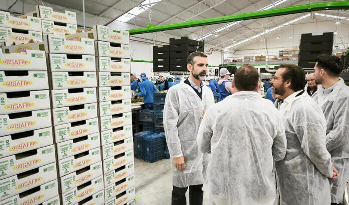 Nueva convocatoria de ayudas para la modernización del sector agroalimentario por 88 millones