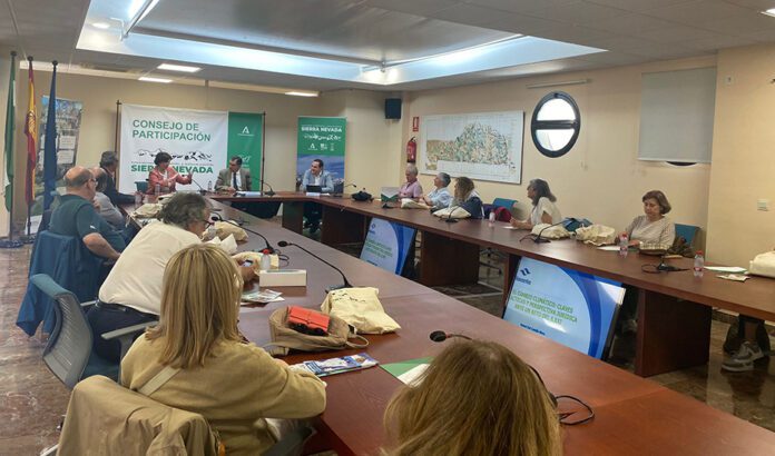 Jueces de toda España se formarán en delitos medioambientales, violencia de género y mediación