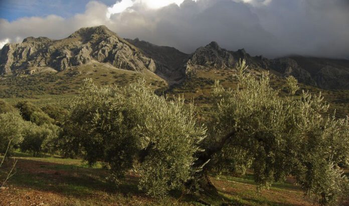 La Junta impulsa nuevas ayudas para educación ambiental en el medio rural andaluz