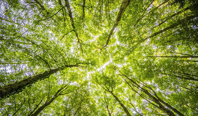 La Junta consolida su compromiso con la acción climática con 1.176 millones invertidos en 2023