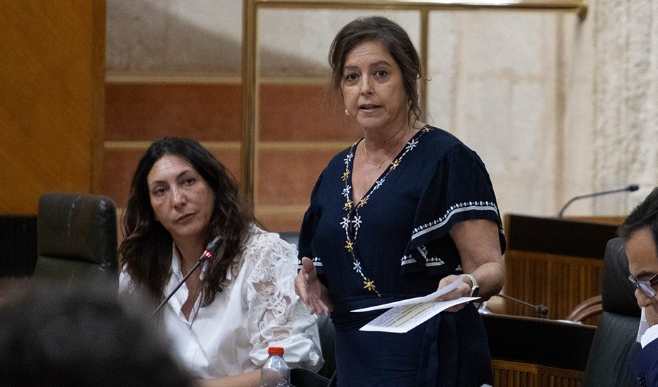 La Junta destina once millones de euros para el sellado o limpieza de 15 vertederos de Almería