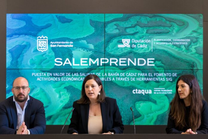 La Diputación financia con el programa DipuInnova Plus un proyecto para reactivar las salinas de la Bahía de Cádiz