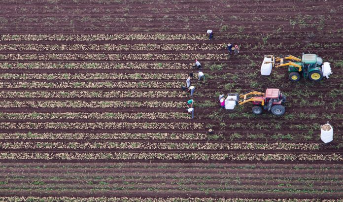 La Junta recibe más de 209.500 Solicitudes Únicas de ayudas de la Política Agraria Común para 2025