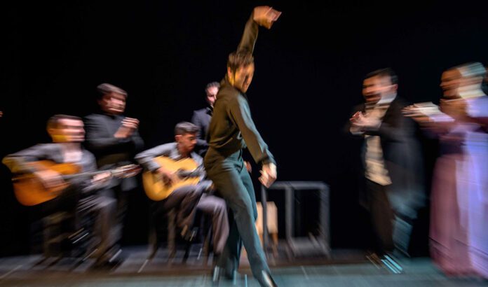 La Consejería de Cultura convoca las subvenciones al tejido asociativo del flamenco para 2025