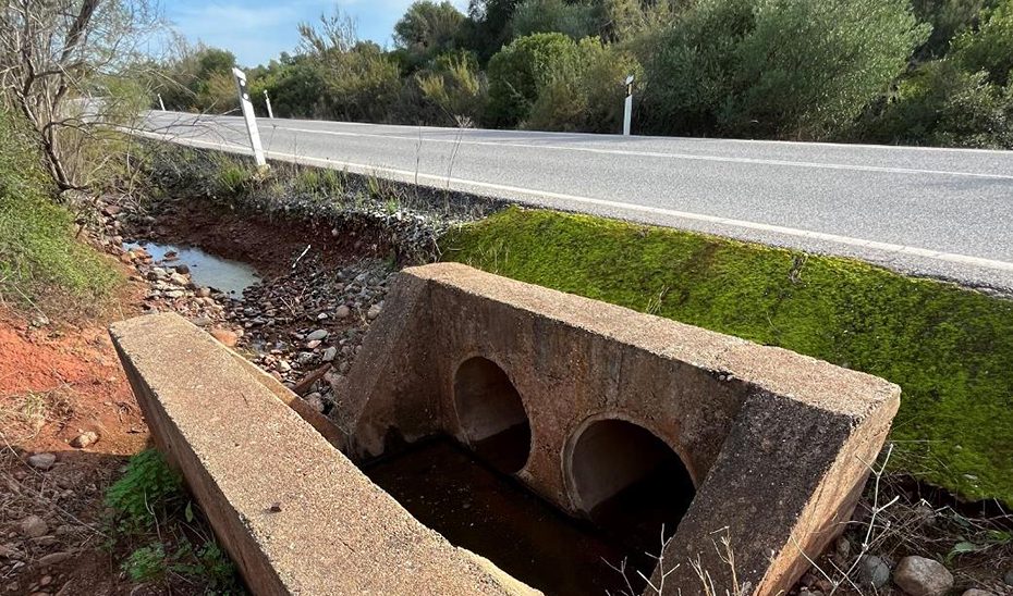 Carreteras de Sevilla y Córdoba incorporarán vallas y señalización para proteger al lince ibérico