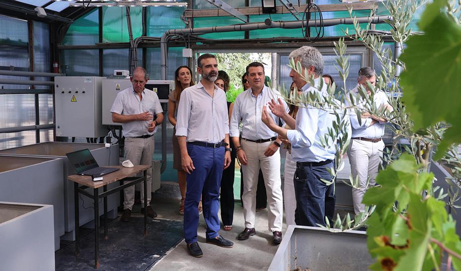 El Gobierno andaluz habilita un laboratorio pionero sobre sequía y clima futuro en cultivos mediterráneos