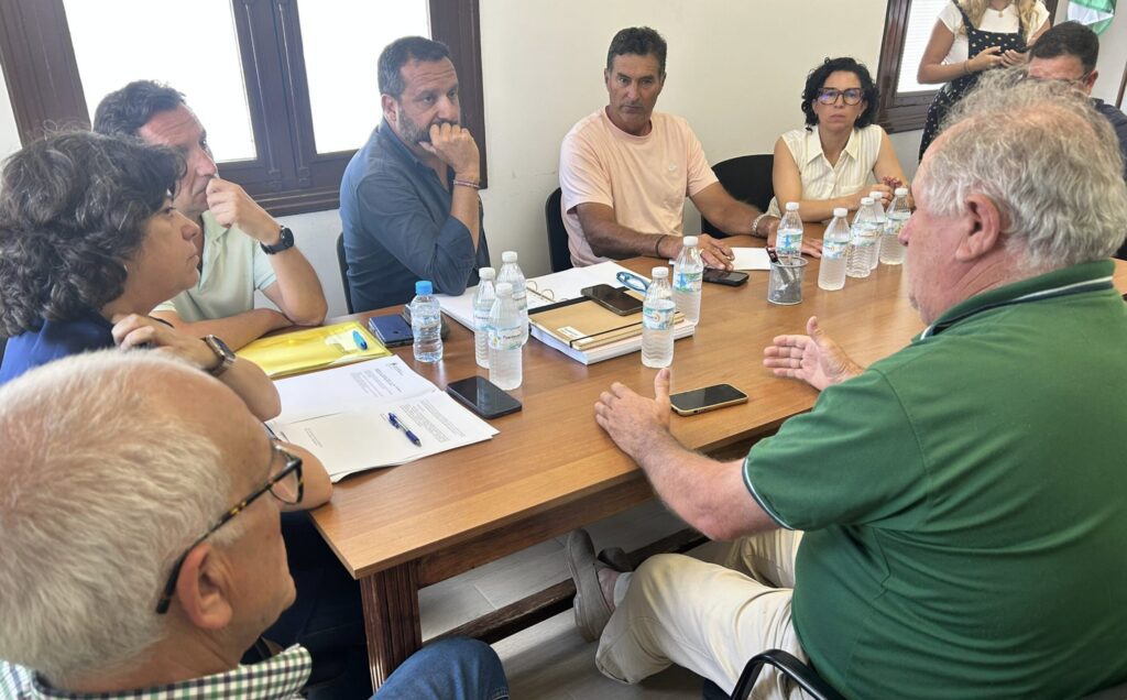 Carmen Álvarez anuncia el asfaltado de once calles de la Algaida con una inversión de 420.000€ Carmen Álvarez anuncia el asfaltado de once calles de la Algaida con una inversión de 420.000€
