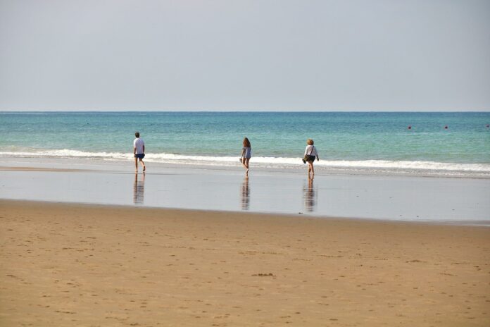 people on beach during daytime