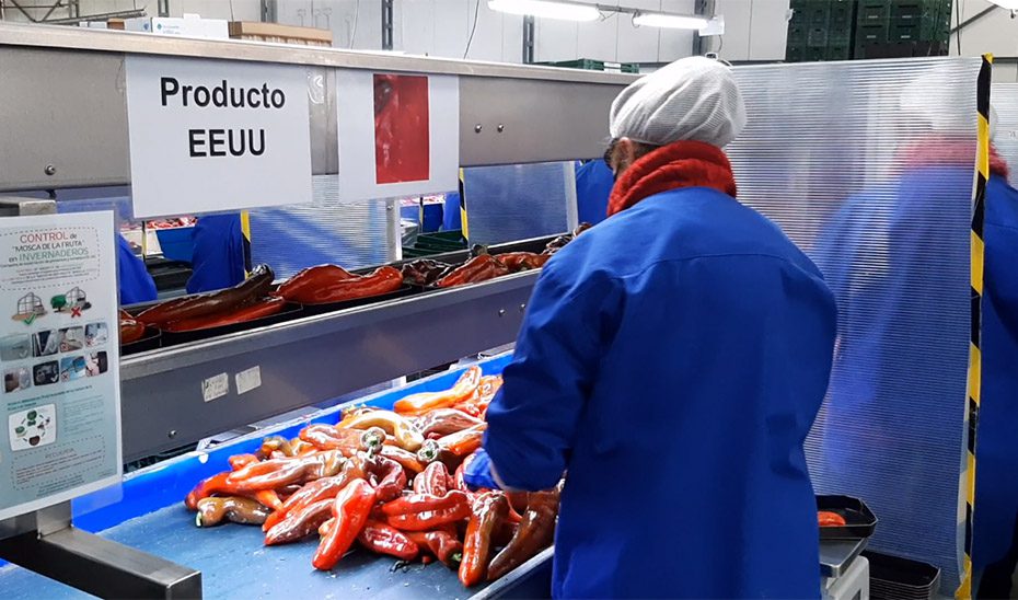Las exportaciones andaluzas superaron en 2024 los 452.200 empleos, el 98,4% de lo previsto hasta 2027