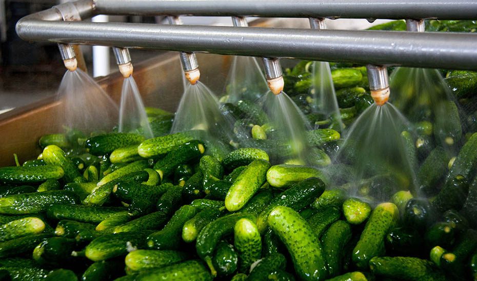 Las exportaciones hortofrutícolas crecen un 11% y superan los 4.555 millones entre enero y mayo de 2025