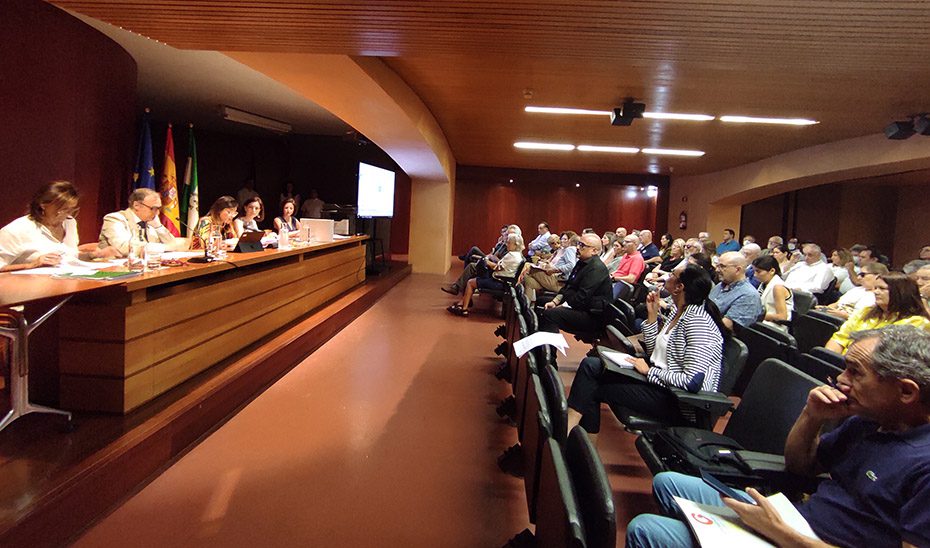 La Junta prepara su próxima subasta de patrimonio en desuso con cerca de una treintena de inmuebles