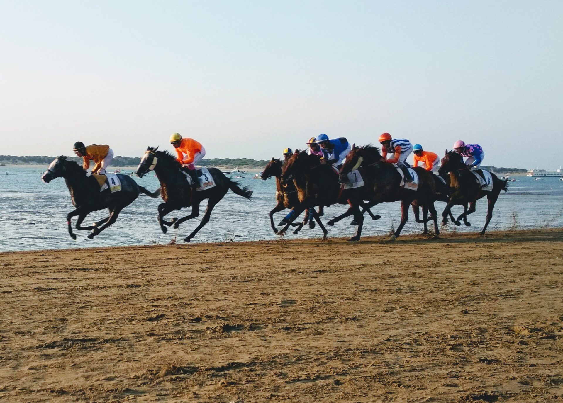 HOY COMIENZAN LAS CARRERAS DE CABALLOS 2025