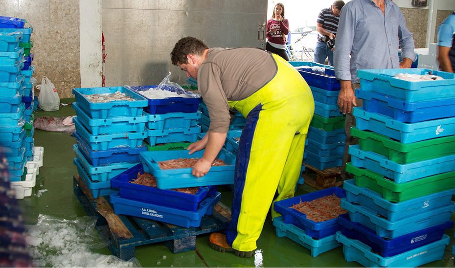 Las lonjas andaluzas comercializan 22.535 toneladas de productos frescos el primer semestre de 2024