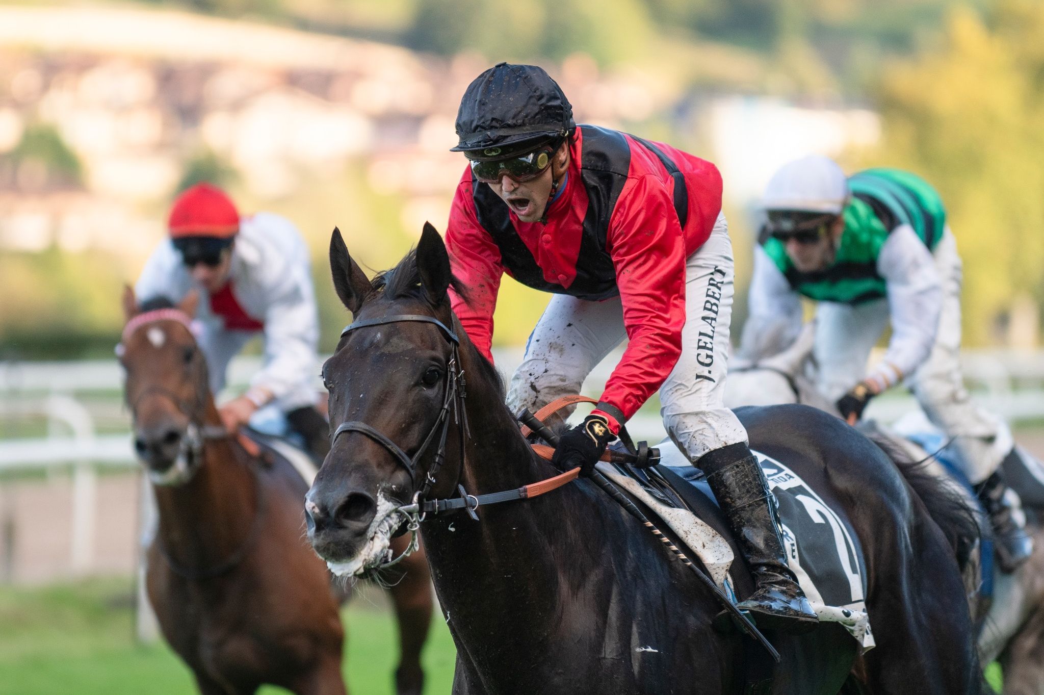 El Hipódromo de San Sebastián acoge este jueves el Premio Real Sociedad de Carreras de Caballos de Sanlúcar