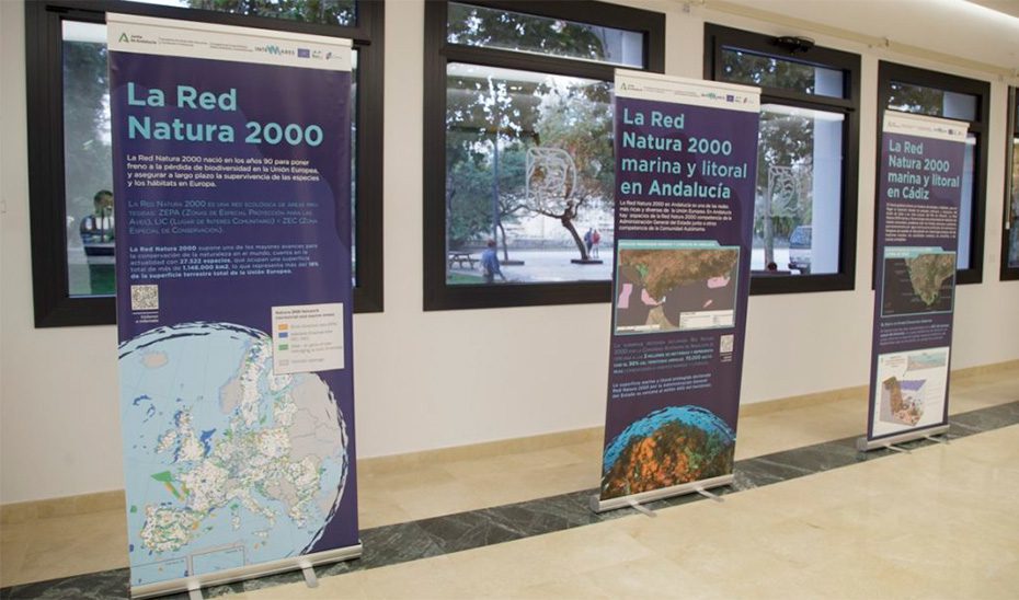 La Junta y la Autoridad Portuaria Bahía de Cádiz colaboran en una acción de educación ambiental de los espacios marinos