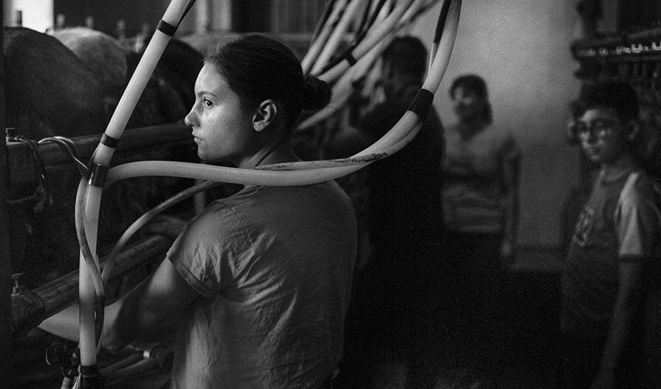 ‘Un ordeño en familia’, ganadora del VI Concurso Fotográfico Medio Rural y Pesquero en Andalucía
