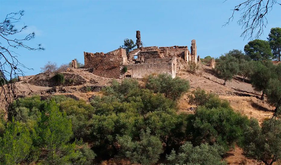 Una historia entre los Montes de Málaga y el vino