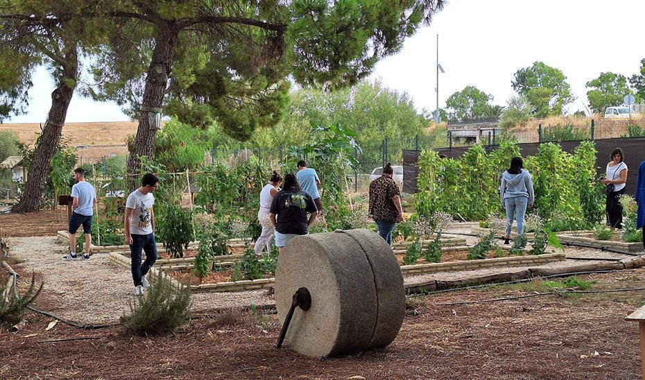 Más de 800 andaluces han participado en las jornadas ‘Tu huerto, tu salud, tu planeta’
