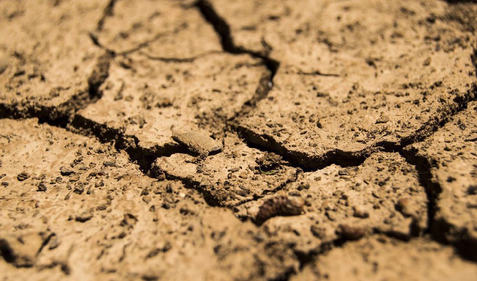 La Junta otorga 2,82 millones a 19 empresas, clústeres y centros tecnológicos para desarrollar 12 proyectos innovadores contra la sequía