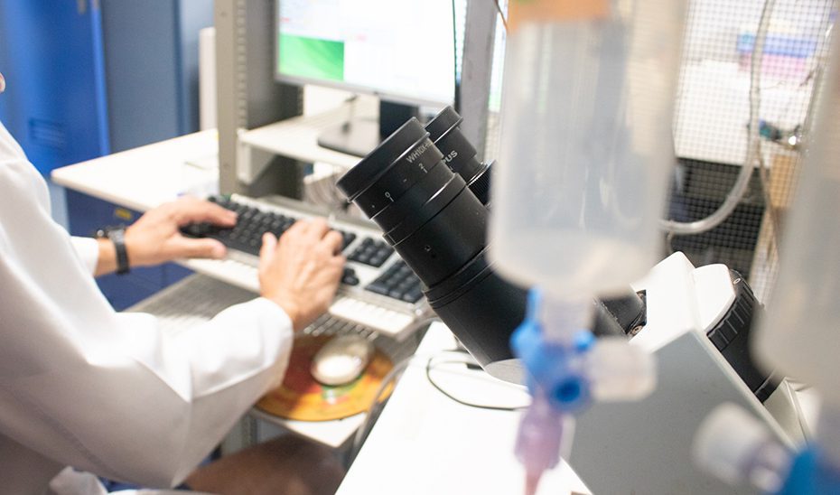 Investigadores evalúan el potencial antidiabético de moléculas de segunda generación