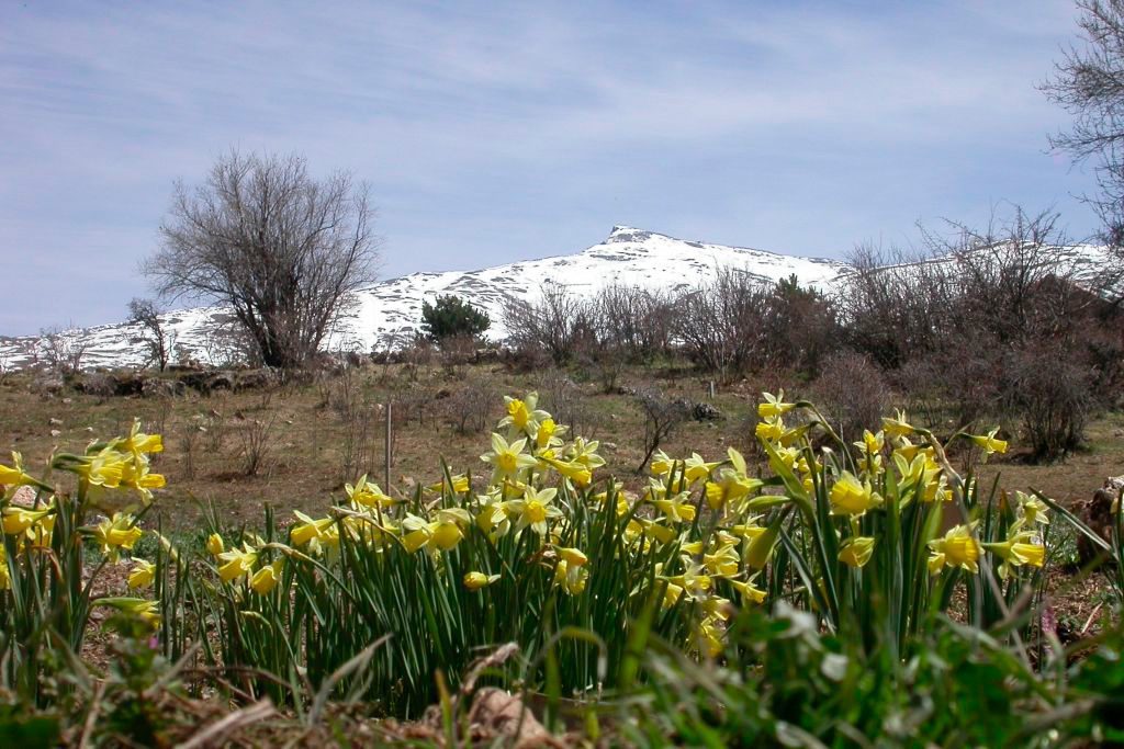 La Red Andaluza de Jardines Botánicos y Micológicos atrajo a 117.400 visitantes en 2024