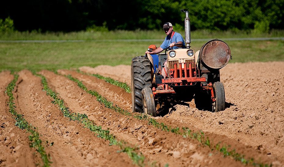 Andalucía cerró 2024 con 74.800 parados menos y récord histórico de ocupados, más de 3,48 millones