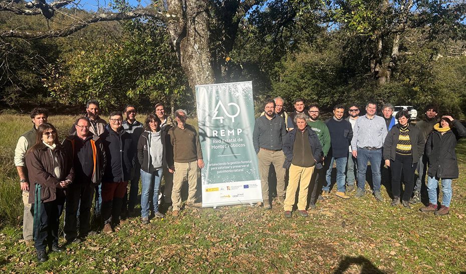 Andalucía impulsa la selvicultura para mejorar el aprovechamiento de la madera y la regeneración del monte alcornocal