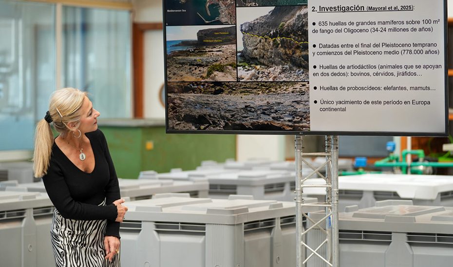 El IAPH participa en el descubrimiento de un yacimiento en una playa de Tarifa