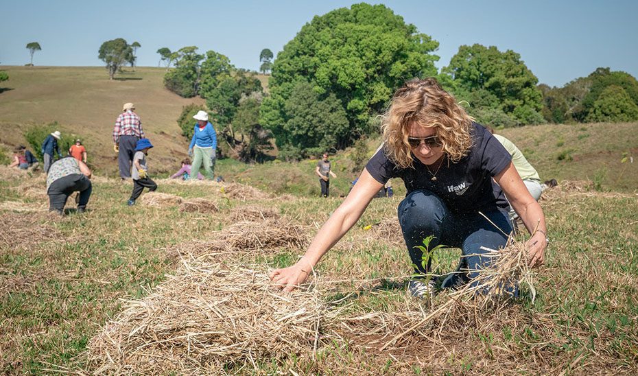 Abierto el plazo para la preinscripción en los Campos de Voluntariado Juvenil en el extranjero