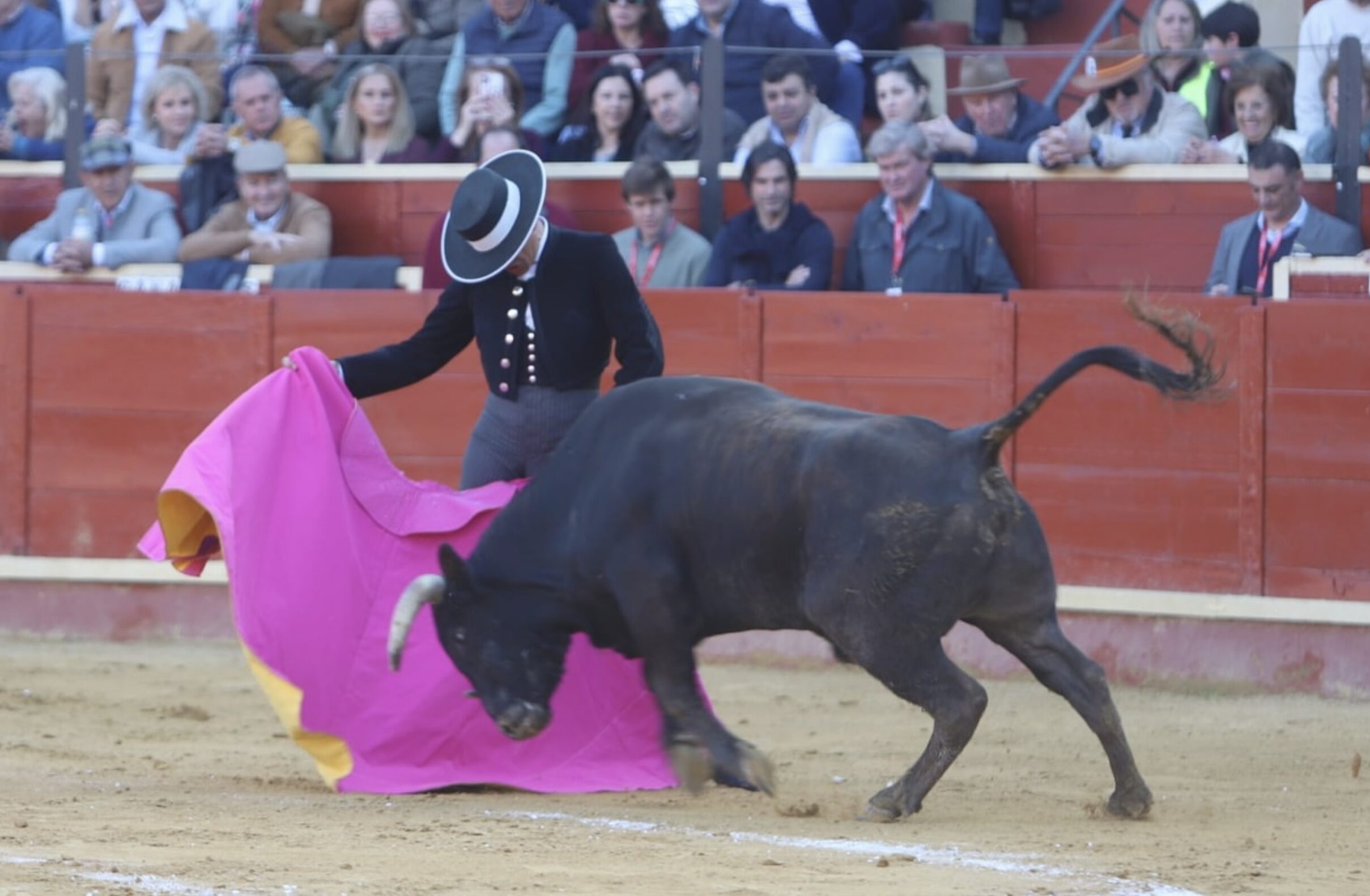 Izquierda Unida denuncia la presencia de menores en la Plaza de Toros de El Pino durante la corrida benéfica